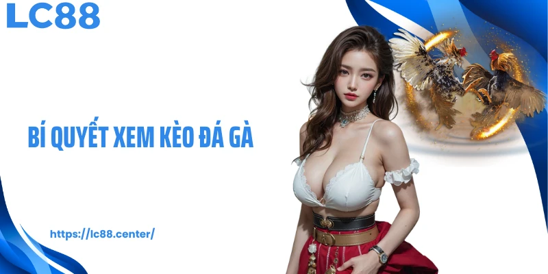 bí quyết xem kèo đá gà
