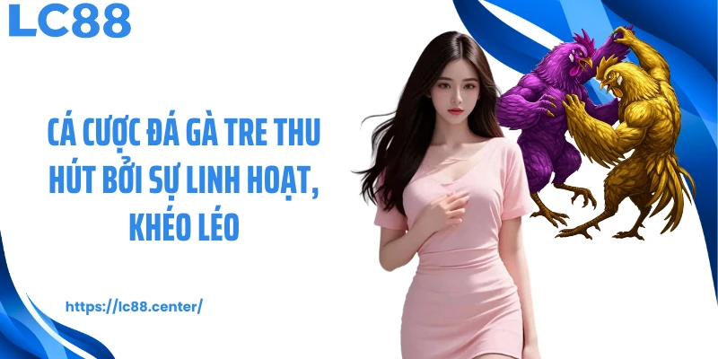 Cá cược đá gà tre thu hút bởi sự linh hoạt, khéo léo
