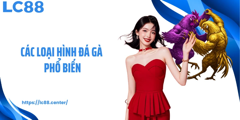 các loại hình đá gà phổ biến