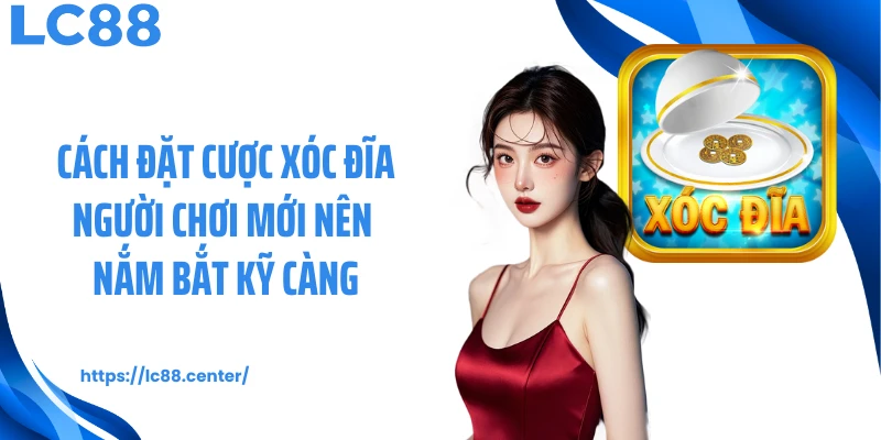 Cách đặt cược xóc đĩa người chơi mới nên nắm bắt kỹ càng