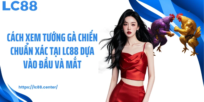 Cách Xem Tướng Gà Chiến Giúp Bạn Cá Cược Hay Tại LC88 2 Cách xem tướng gà chiến chuẩn xác tại LC88 dựa vào đầu và mắt