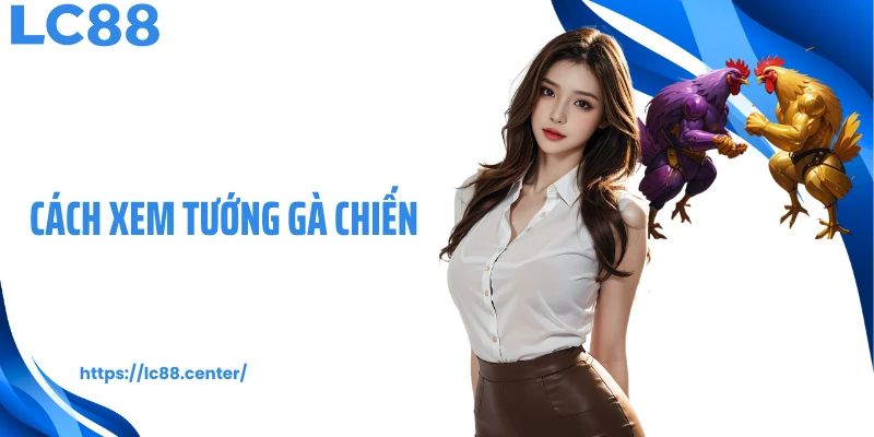 cách xem tướng gà chiến