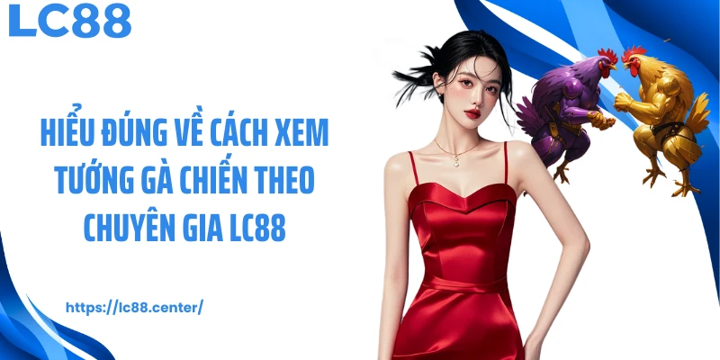 Cách Xem Tướng Gà Chiến Giúp Bạn Cá Cược Hay Tại LC88 1 Hiểu đúng về cách xem tướng gà chiến theo chuyên gia LC88
