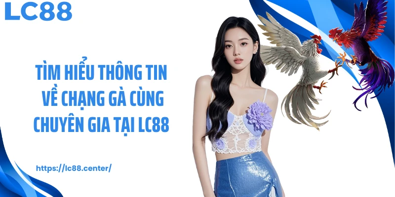 Cách Xem Chạng Gà: Kiến Thức Quan Trọng Theo Chuyên Gia LC88 1 Tìm hiểu thông tin về chạng gà cùng chuyên gia tại LC88